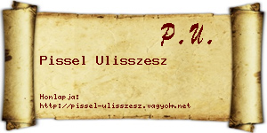 Pissel Ulisszesz névjegykártya